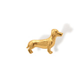 Pin perro salchicha vista frontal